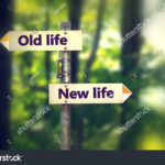 stock-photo-signpost-in-a-park-with-arrows-old-and-new-life-pointing-in-two-opposite-directions-6270
